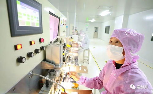 泰和外贸企业加速复工复产，同步探索国内教育信息咨询服务新机遇